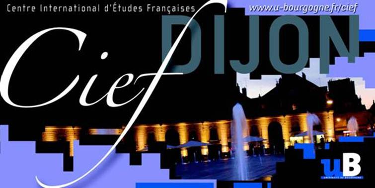Meilleurs voeux 2013 du CIEF de Dijon